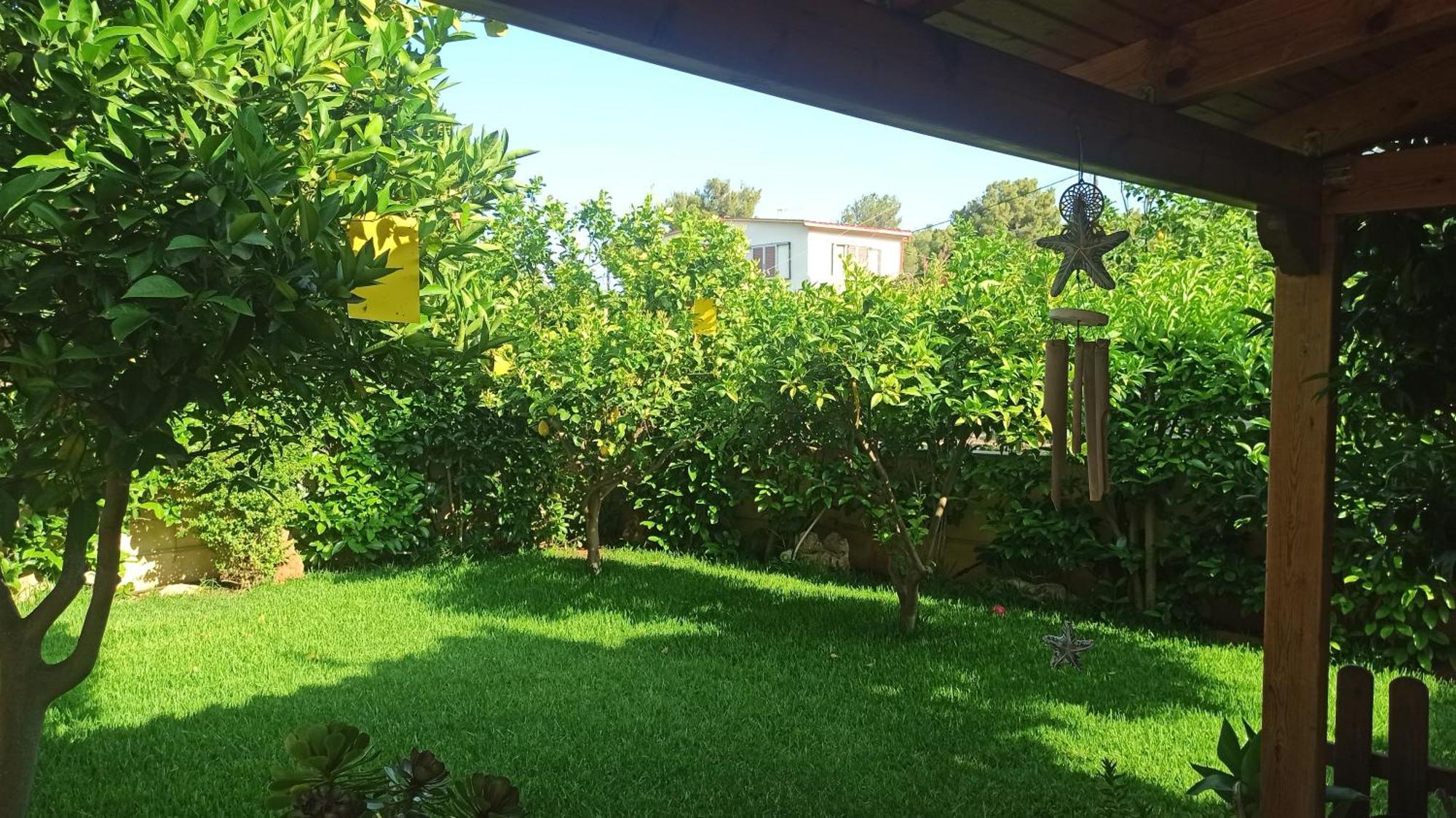 Sea Soul Villa Artemida  Ngoại thất bức ảnh